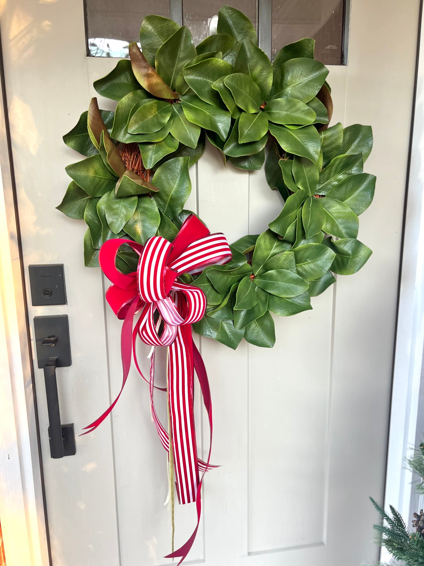 Magnolia Leaf Wreath