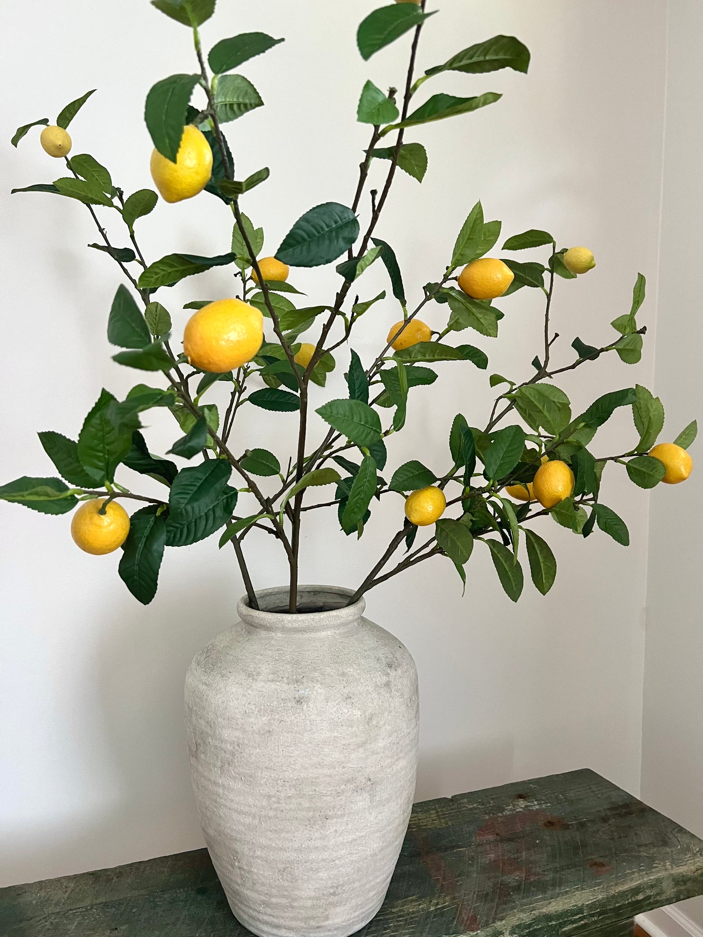 Lemon Tree Branch